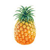 ananas