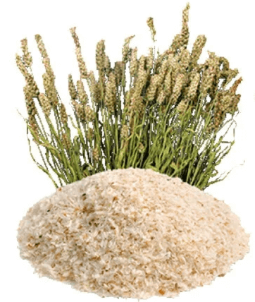 linguri de tărâțe de psyllium